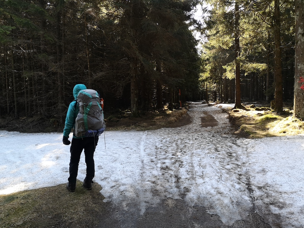 Nach dem Sperrhügel in Richtung Oberhof gab es immer mehr Schnee