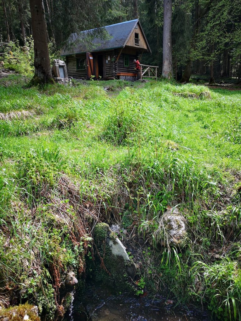 Hütte auf dem Wurzelberg