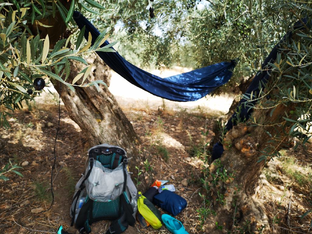 Hängematte unter Olivenbäume am GR7