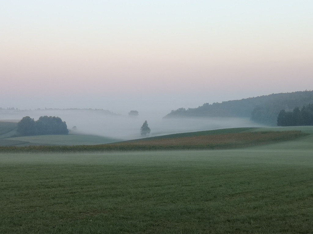 Morgennebel im Donauland